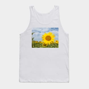 Sunflowers in a field Tank Top